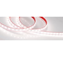 Светодиодная герметичная лента Arlight RTW-PS-A80-10mm 24V Day5000 50 м 024529(2)