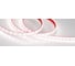 Светодиодная герметичная лента Arlight RTW-PS-A80-10mm 24V Day5000 50 м 024529(2) 1