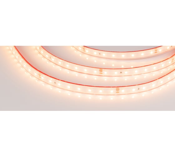 Светодиодная герметичная лента Arlight RTW-PS-A80-10mm 24V Warm2700 50 м 024532(2)