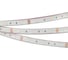 Светодиодная герметичная лента Arlight RTW-PS-B30-13mm 12V RGB 5 м 028711 2
