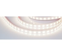 Светодиодная герметичная лента Arlight RTW-PW-B60-13mm 24V Day4000 5 м 016181(2)