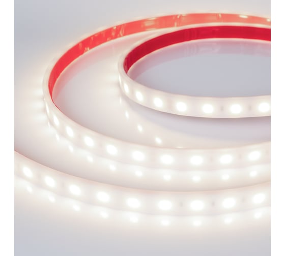 Светодиодная герметичная лента Arlight RTW-PW-B60-13mm 24V Day4000 5 м 016181(2)