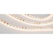 Светодиодная лента Arlight RT-A120-5mm 24V Warm3000 5 м 024105(2)