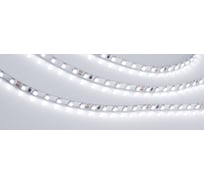 Светодиодная лента Arlight RT-A120-5mm 24V White6000 5 м 015651(2)