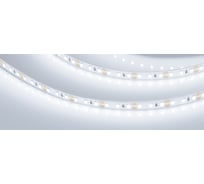 Светодиодная лента Arlight RT-A120-8mm 12V Cool 8K 5 м 013239(2)
