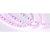 Светодиодная лента Arlight RT-A120-8mm 12V Pink 5 м 015897(2)