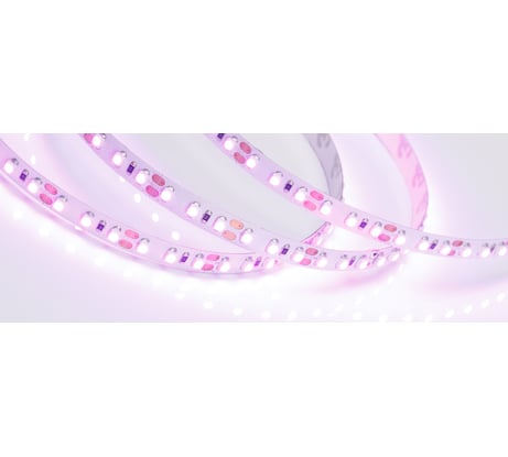 Светодиодная лента Arlight RT-A120-8mm 12V Pink 5 м 015897(2)