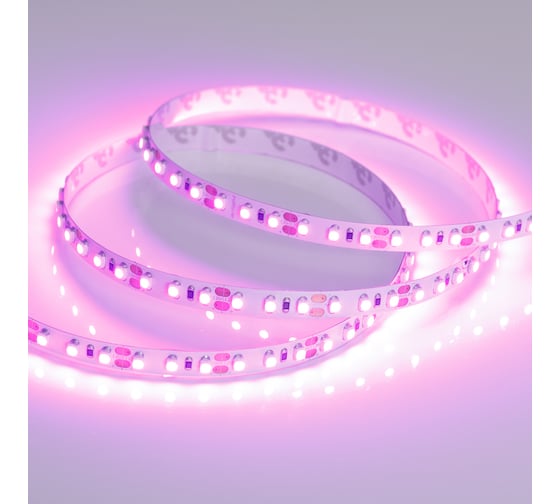 Светодиодная лента Arlight RT-A120-8mm 12V Pink 5 м 015897(2)