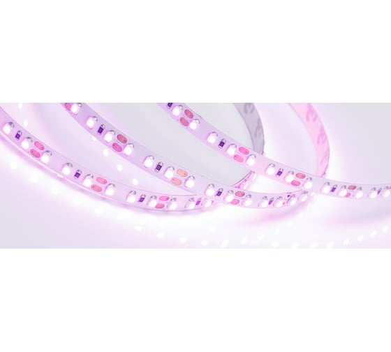 Светодиодная лента Arlight RT-A120-8mm 12V Pink 5 м 015897(2) 1