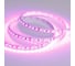 Светодиодная лента Arlight RT-A120-8mm 12V Pink 5 м 015897(2) 4