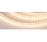 Светодиодная лента Arlight RT-A120-8mm 12V Warm2700 5 м 024341(2) 1