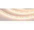 Светодиодная лента Arlight RT-A120-8mm 12V Warm3000 5 м 024340(2) 1