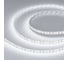 Светодиодная лента Arlight RT-A120-8mm 12V White6000 5 м 022459(2) 5