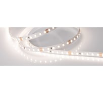 Светодиодная лента Arlight RT-A120-8mm 24V Day5000 5 м 028283(2)