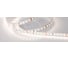 Светодиодная лента Arlight RT-A120-8mm 24V Day5000 5 м 028283(2) 1