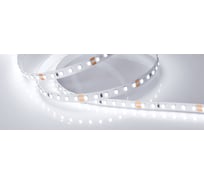 Светодиодная лента Arlight RT-A120-8mm 24V White6000 5 м 015696(2)