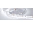 Светодиодная лента Arlight RT-A120-8mm 24V White6000 5 м 015696(2) 2