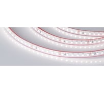 Светодиодная лента Arlight герметичная RTW-PS-A120-10mm 24V Day4000 9.6Вт/м 50 м 024576(2)