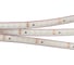 Светодиодная лента Arlight герметичная RTW-PS-A120-10mm 24V White6000 9.6Вт/м 5 м 022321(2) 2