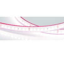 Светодиодная лента Arlight герметичная RTW-PS-A160-10mm 24V Day4000 12 Вт/м 5 м 024543(2)