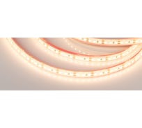 Светодиодная лента Arlight герметичная RTW-PS-A120-10mm 12V Warm2700 9.6 Вт/м 5 м 028547(2)