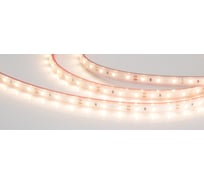 Светодиодная лента Arlight герметичная RTW-PS-A60-10mm 12V Warm3000 4.8 Вт/м 5 м 021101(2)