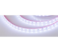 Светодиодная лента Arlight герметичная RTW-PS-B60-12mm 24V RGB 14.4 Вт/м 5 м 021400(2)