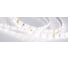 Светодиодная лента Arlight герметичная RTW-SE-A60-8mm 24V Day4000 4.8 Вт/м 5 м 024260(2) 1