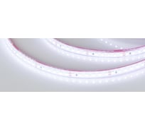 Светодиодная лента Arlight RTW 2-5000PGS 24V Cool 5 м 016835(1)