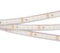 Светодиодная лента Arlight RTW 2-5000PGS 24V Cool 5 м 016835(1) 2