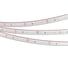 Светодиодная лента Arlight RTW-5000PS-3528-60-12V Blue 5 м 032839 1