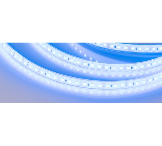 Светодиодная лента Arlight RTW-5000PU-2835-120 12V Blue 5 м 032078 1