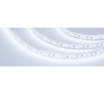 Светодиодная лента Arlight RTW-5000PU-2835-120 12V Cool 8K 5 м 029595