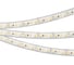 Светодиодная лента Arlight RTW-5000PU-2835-120 12V Cool 8K 5 м 029595 2