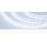 Светодиодная лента Arlight RTW-5000PU-2835-120 12V Cool 8K 5 м 029595 1
