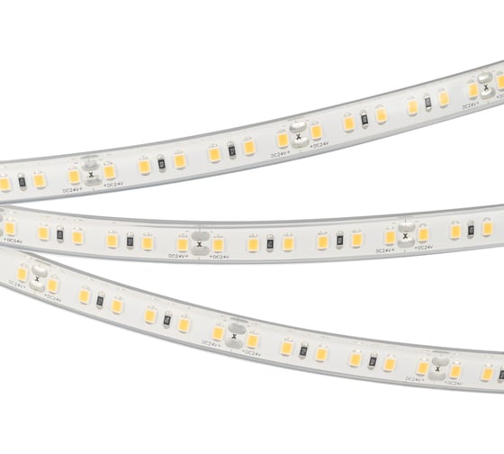 Светодиодная лента Arlight RTW-5000PU-2835-120 24V Cool 8K 5 м 029392 1