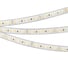 Светодиодная лента Arlight RTW-5000PU-2835-120 24V Cool 8K 5 м 029392 1