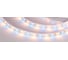 Светодиодная лента Arlight RTW-SE-B60-10mm 24V RGBW-Warm 034185 1