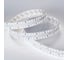 Светодиодная лента Arlight S2-A280-20mm 24V White6000 2,5 м 023400(2) 5
