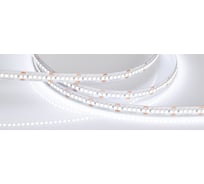 Светодиодная лента Arlight RT-A240-10mm 24V Warm2400 5 м 028622(2)
