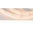 Светодиодная лента Arlight RT-A240-15mm 24V Warm2700 CRI98 021450B 1