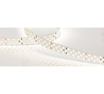 Светодиодная лента Arlight RT-A252-19mm 24V Day4000 5 м 019926(2)