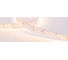 Светодиодная лента Arlight RT-A252-19mm 24V Warm2700 5 м 019929(2) 1