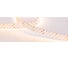 Светодиодная лента Arlight RT-A252-19mm 24V Warm3000 CRI98 5 м 025156(2) 2