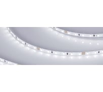 Светодиодная лента Arlight MICROLED-M120-4mm 24V White6000 5 м 024410(2)