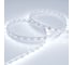 Светодиодная лента Arlight RT 2-5000 24V Cool 8K 5 м 016147(1) 3