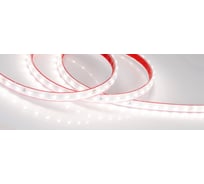 Светодиодная лента Arlight герметичная RTW-PS-A80-10mm 24V Day4000 6 Вт/м 5 м 024518(2)