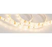 Светодиодная лента Arlight герметичная RTW-SE-A60-8mm 12V Warm3000 4.8 Вт/м 5 м 014795(2)