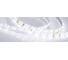 Светодиодная лента Arlight герметичная RTW-SE-A60-8mm 24V White6000 4.8 Вт/м 5 м 024261(2) 1
