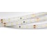 Светодиодная лента Arlight герметичная RTW-SE-A98-8mm 24V White6000 10 Вт/м 5 м 021875(2) 1